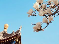 -西安市广仁寺