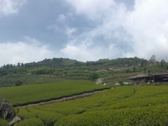 -优游吧斯邹族文化部落