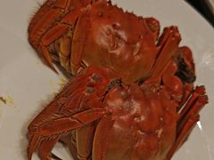 -双湖宴·湖北菜(文化路店)