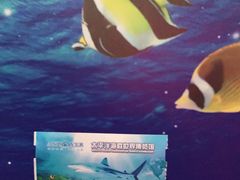 -太平洋海底世界