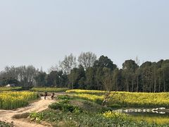 -两河城市森林公园