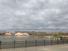 -上海长兴岛郊野公园