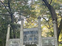 -镇江市南山风景名胜区竹林景区