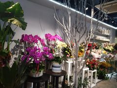 -靳晖金百合花艺GOLDENLILY(南院门店)