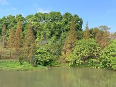 -田野绿世界