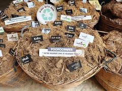 -大象粑粑造纸公园