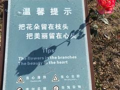 -漩门湾国家湿地公园