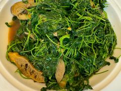 蚌肉金花菜-洋洋中餐馆·SINCE 1997(信投店)