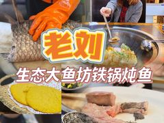 -老刘生态大鱼坊铁锅炖鱼(赛马场店)