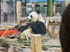 -栾川竹海野生动物园