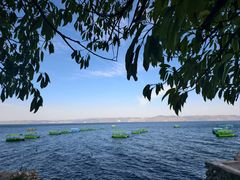 -抚仙湖禄充风景区