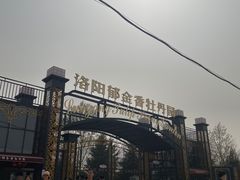 -洛阳郁金香牡丹园