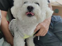 -美联众合动物医院·24h京西诊疗中心