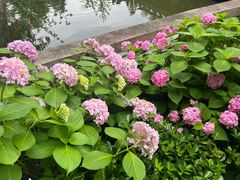 -苏州碑刻博物馆
