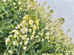 -中国天府农业博览园