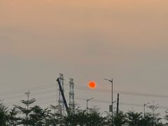 -大湾区中央湿地公园