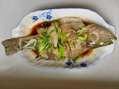 -福孕妈妈家政•月嫂育儿嫂保姆