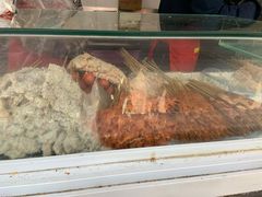 -辽B·小串(总店)