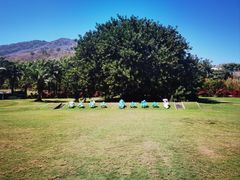 -三亚南山文化旅游区