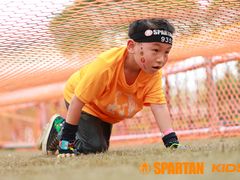 -春花秋色城市公园