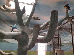 -石家庄市动物园