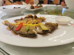 -骏莱海鲜鱼港(五角场店)