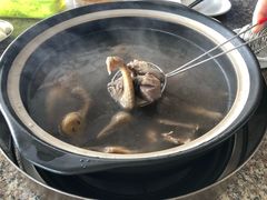 鸽子火锅-皇鸽餐厅(龙塘店)