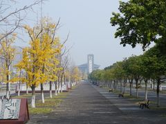 -四川大学华西口腔医院(华西院区)