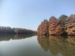-尚湖风景区