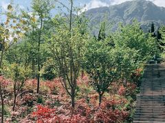 -太阳湾风景区