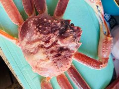 -众彩物流水产市场