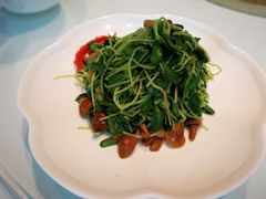 -张生记(丁香国际店)