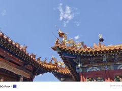 -大召无量寺