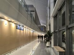 -青岛胶东国际机场