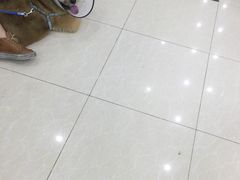 -瑞鹏宠物医院华南总院·夜诊·心脏科·骨科