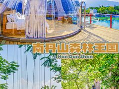 -南丹山森林王国