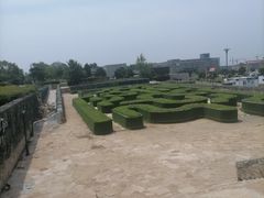 -莫子山公园