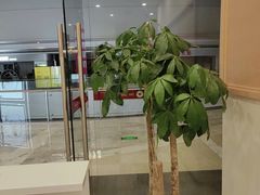 -KK ONE(京基滨河时代店)
