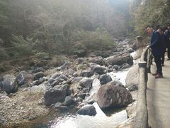 -花岩国家森林公园