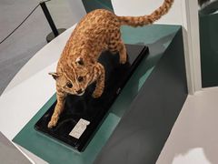 -中国湿地博物馆