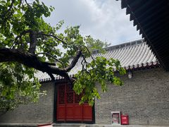-孔府
