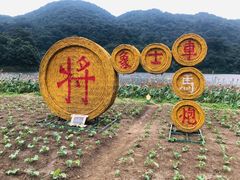 -广州市石门国家森林公园