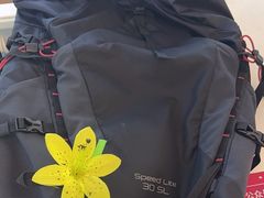-爱革·奢品·鞋包·衣物·家居(金桥国际商业广场店)