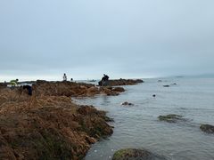 -青岛第二海水浴场