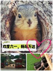 -萌宠亲子动物乐园(槐房万达店)