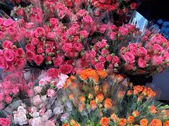 -循礼门鲜花花市(武汉循礼门店)