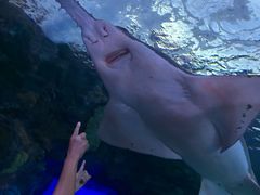 -瑞普利水族馆