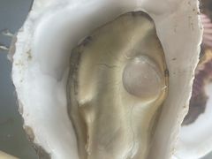 -仙螺岛海鲜自助餐厅(总店)