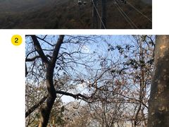 -紫金山山顶公园