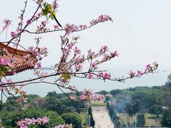 -南沙天后宫景区